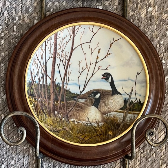 Vintage plates featuring geese. Perfect for bird collectors. Smythe frames. - Picture 3 of 8